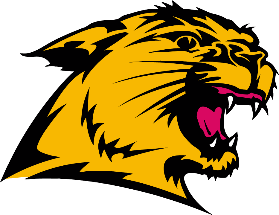 Northern Michigan Wildcats 0-Pres Partial Logo diy iron on heat transfer